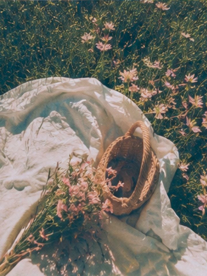 A woven bag and a bunch of pink flowers resting on a picnic blanket