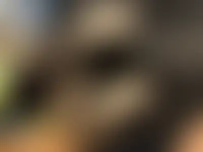doggo meeto event poster